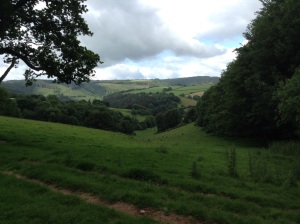 Near Chidgley looking down into Roadwater valley