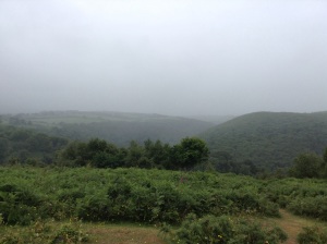 The misty slopes of Dunkery
